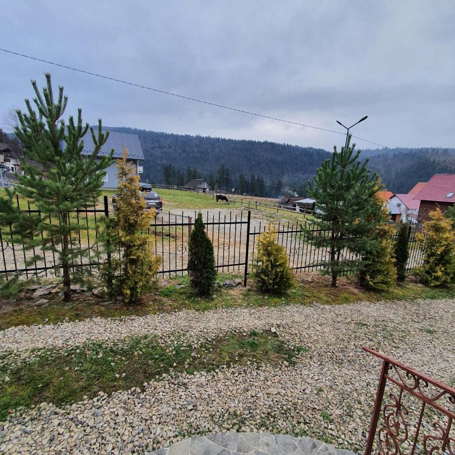 Chalet 888 Cottages Palyanytsya Exterior photo
